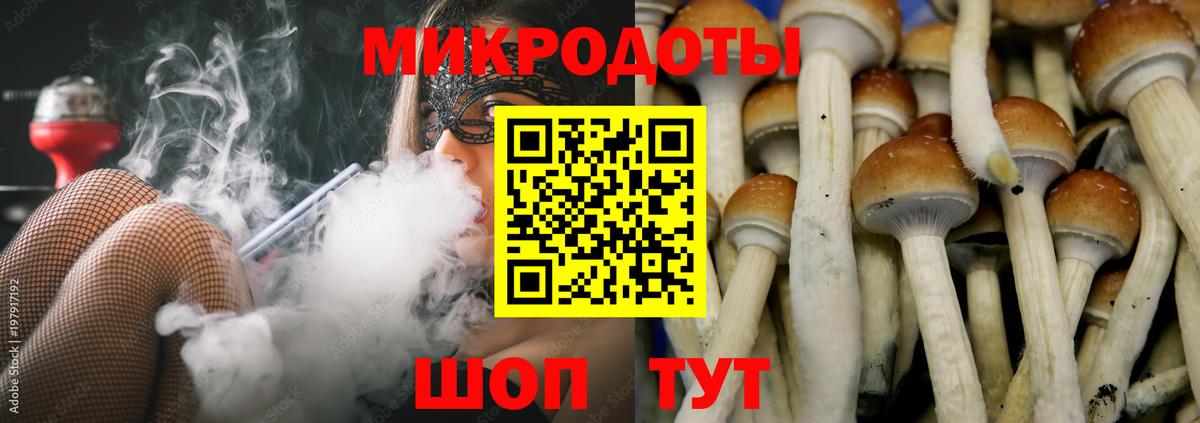 купить наркотик  Псилоцибиновые грибы ЛСД  Вход с VPN  Россия 